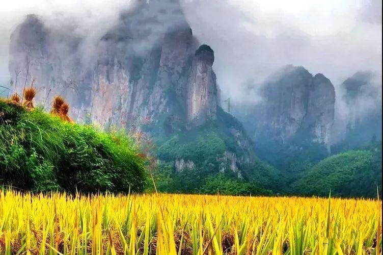 探索世界,与手动挡汽车的驾驶乐趣有哪些?怎么练习?一起分享智慧